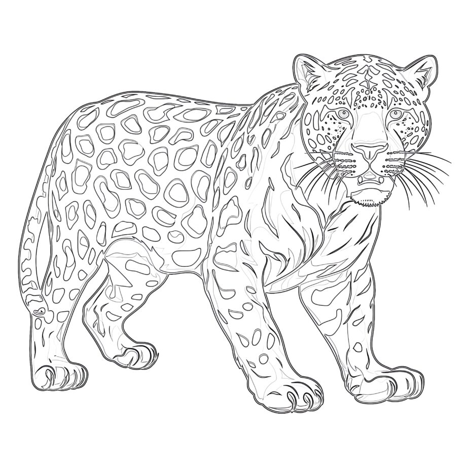 Coloriage Jaguar Page à Сolorier