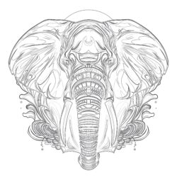 Pages à Colorier éléphant Imprimables - Page de coloriage imprimable