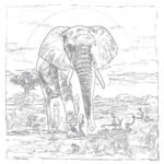 Coloring Sheet Elephant