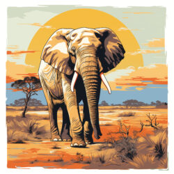 Coloring Sheet Elephant - Origin image