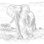 Colouring Page Elephant