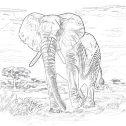 Colouring Page Elephant - Printable Coloring page
