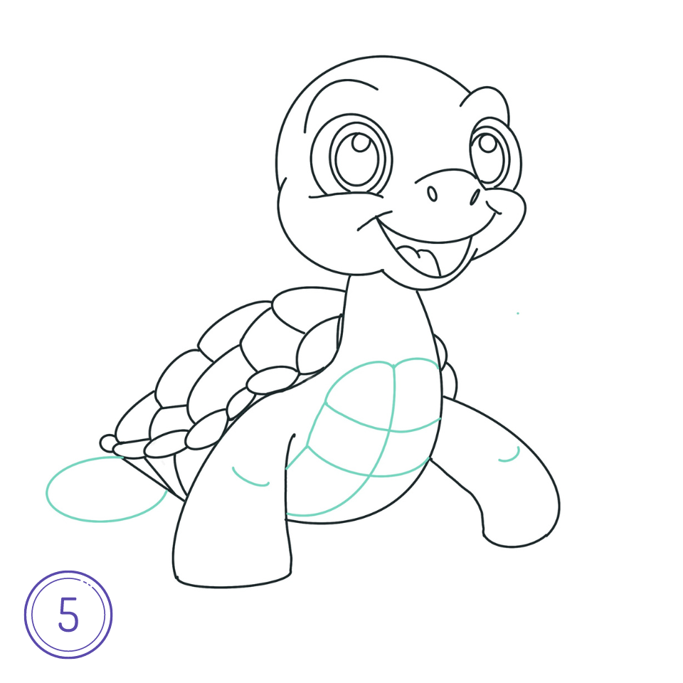 Comment Dessiner Une Tortue Étape 5