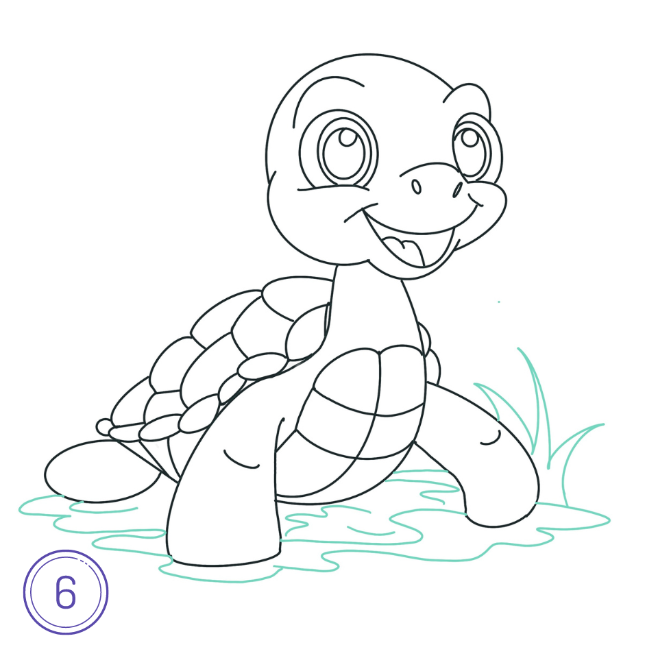 Comment Dessiner Une Tortue Étape 6