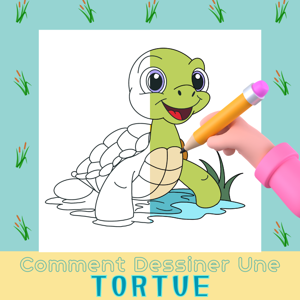 Comment Dessiner Une Tortue