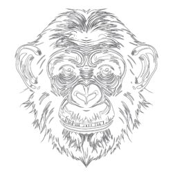 Gemeinsame Schimpanse Färbung Seite - Druckbare Ausmalbilder