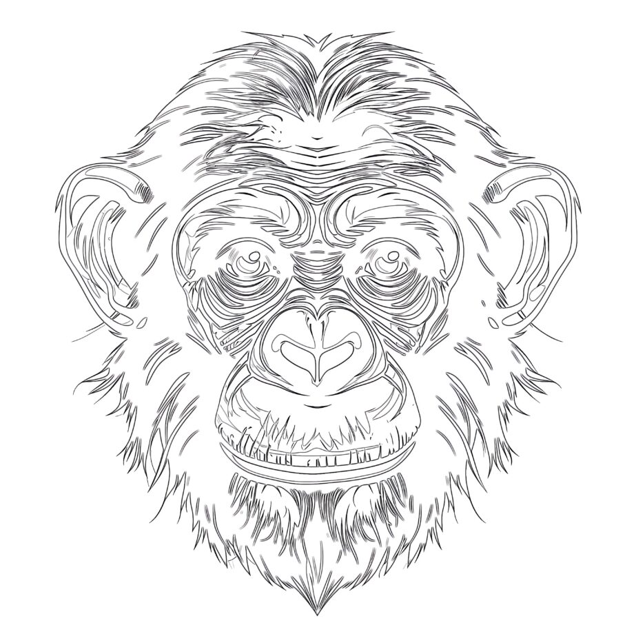 Página Para Colorear De Chimpancé Común