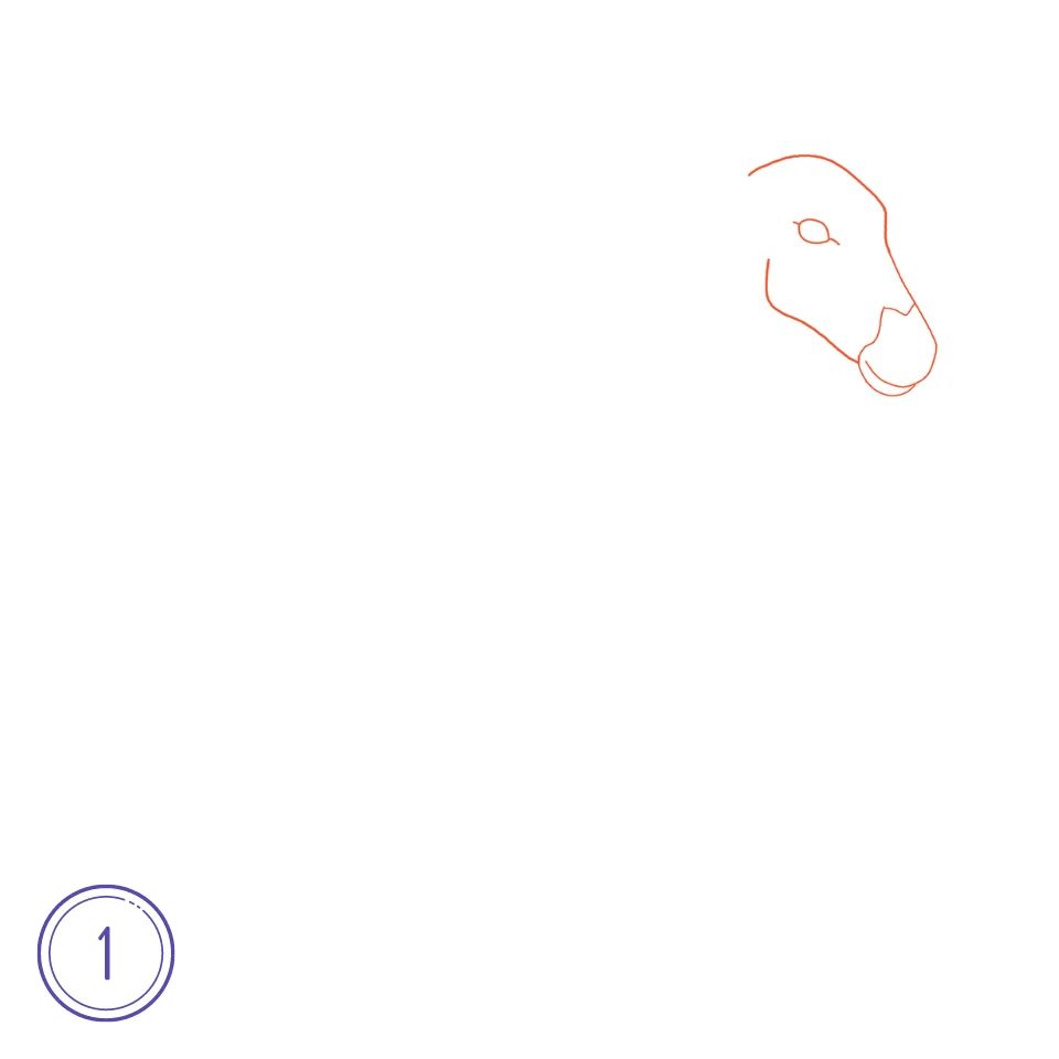Cómo Dibujar Una Cebra Paso 1