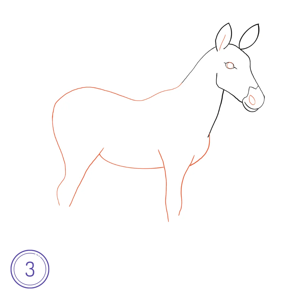 Cómo Dibujar Una Cebra Paso 3