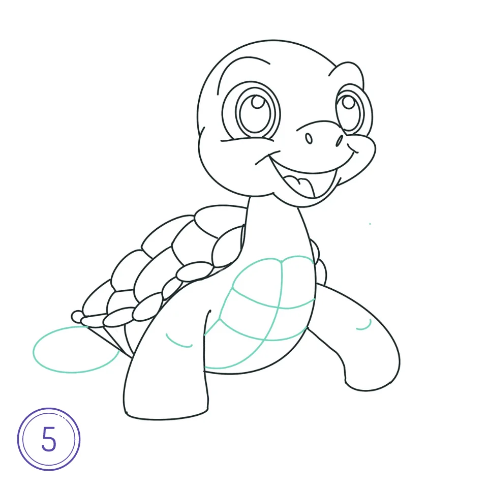 Cómo Dibujar Una Tortuga Paso 5