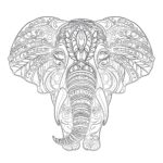 Elephant Coloring Book Page