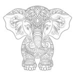 Elephant Colouring In Picture