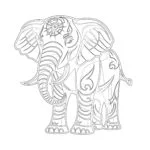 Elephant Pictures To Color Printable