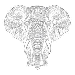 Elefantes Páginas Para Colorear - Página para colorear