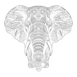 Elephants Coloring Pages - Printable Coloring page