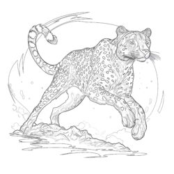 Free Printable Cheetah Pictures Coloring Page - Printable Coloring page