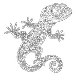 Página Para Colorear de Gecko - Página para colorear