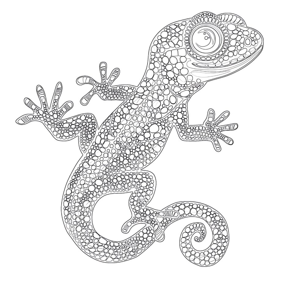 Gecko-Malvorlage