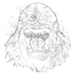 Gorilla Coloring Page