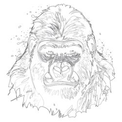 Gorilla Färbung Seite - Druckbare Ausmalbilder
