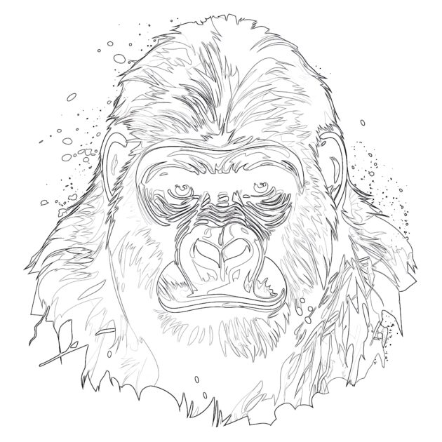 Online Coloring Gorilla Coloring Page Coloring Pages Mimi Panda