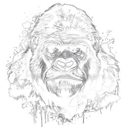 Gorillas Färbung Seiten - Druckbare Ausmalbilder