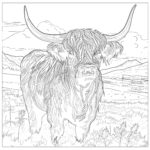 Highland Cow Coloring Sheet