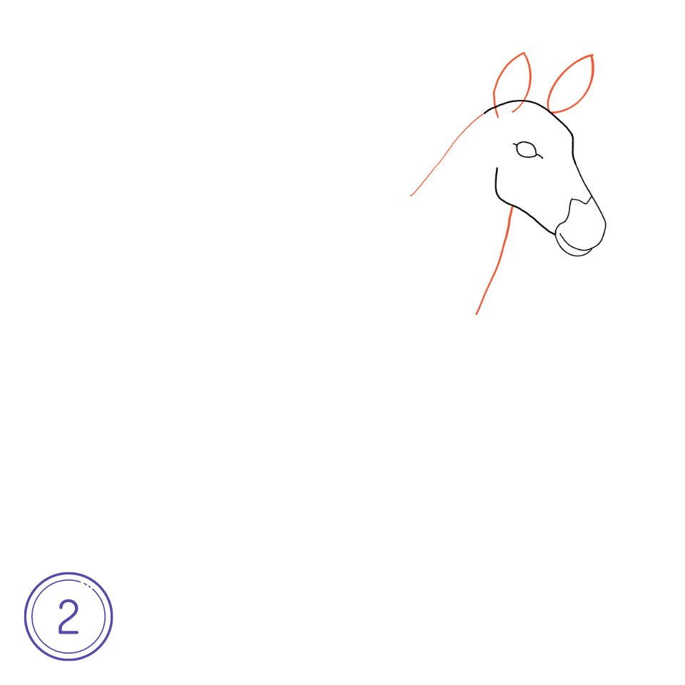 How to Draw a Zebra Step 2