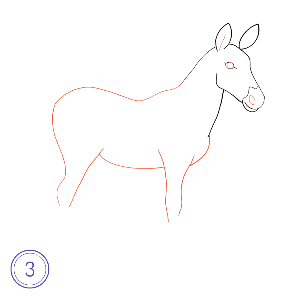 How to Draw a Zebra Step 3