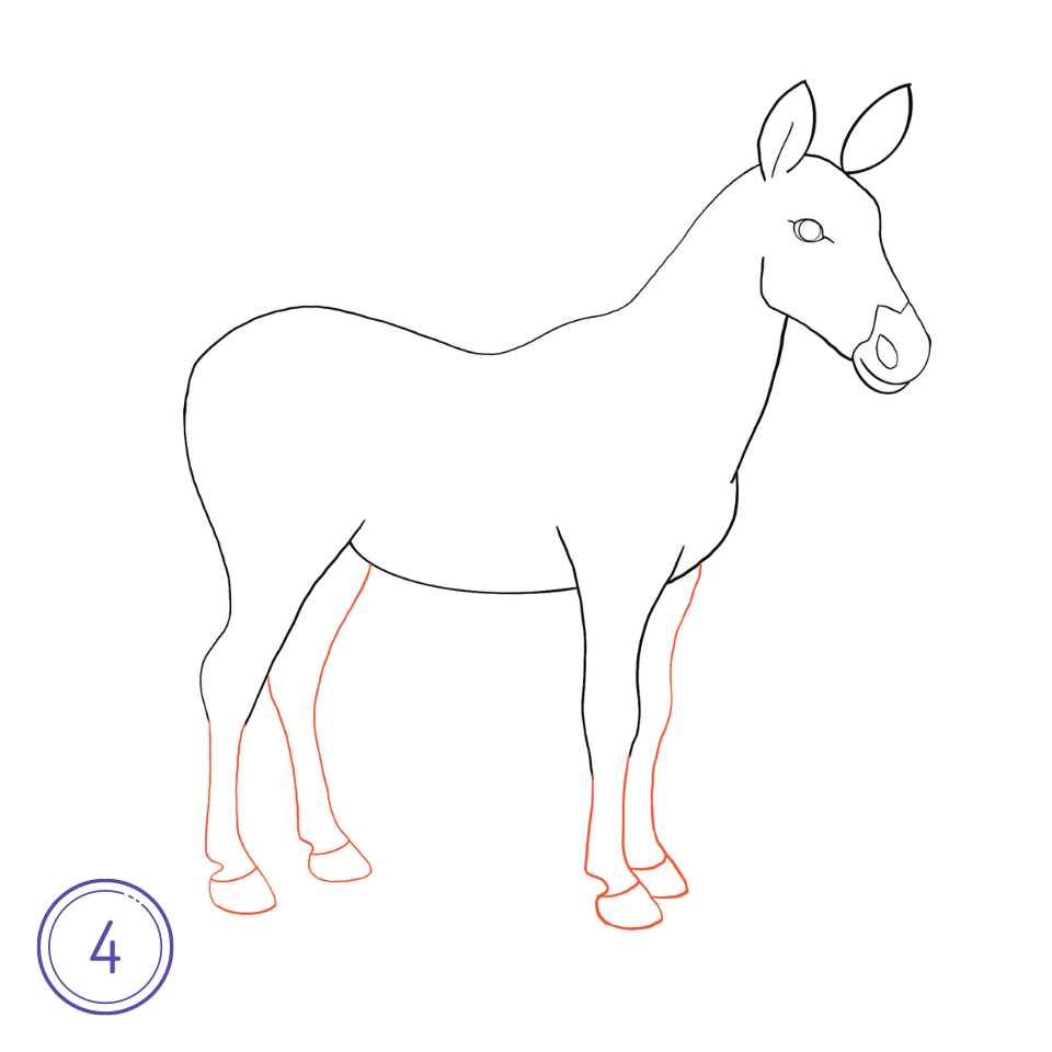 How to Draw a Zebra Step 4
