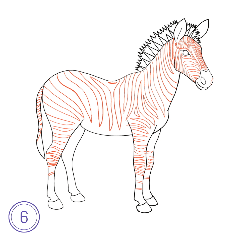 How to Draw a Zebra Step 6