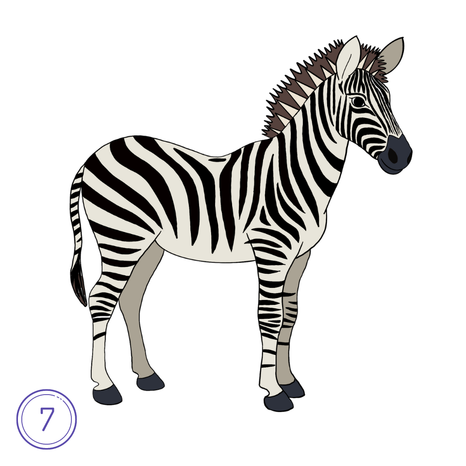 How to Draw a Zebra Step 7