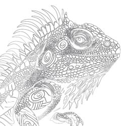Iguana Para Colorear - Página para colorear