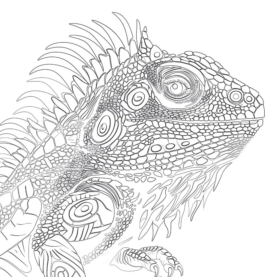 Iguana Boyama Sayfası