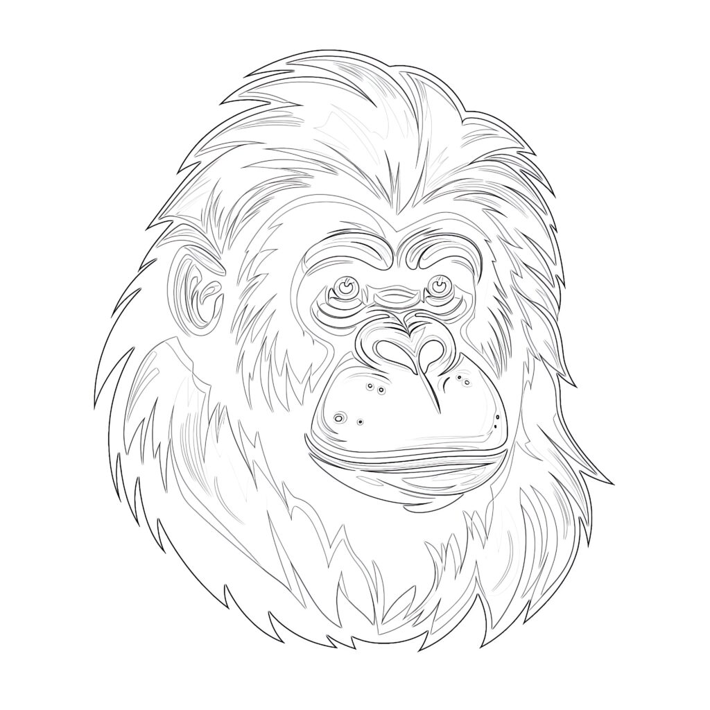 Orangutan Coloring Page | Coloring Pages Mimi Panda