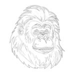 Orangutan Coloring Page