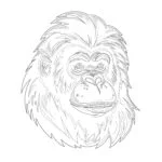 Orangutan Coloring Page