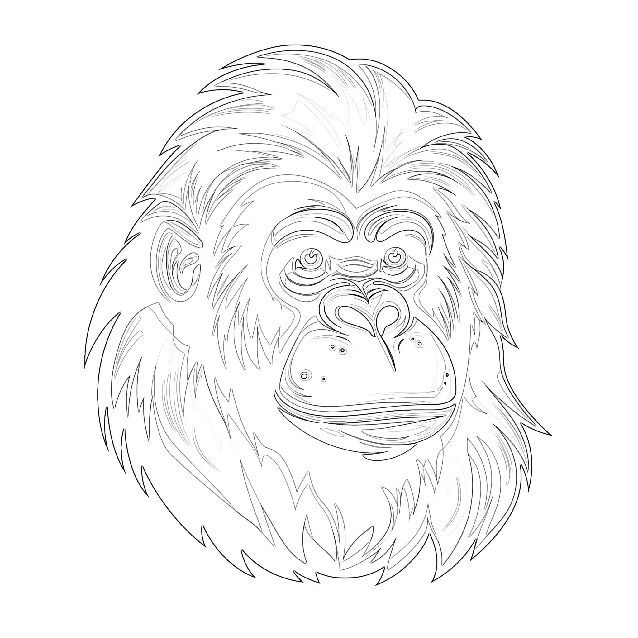 Baby Orangutan Coloring Page | Coloring Pages Mimi Panda