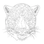 Printable Jaguar Coloring Pages