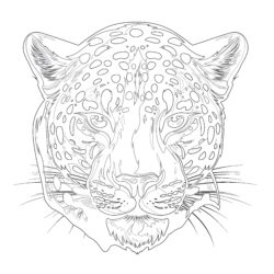 Druckbare Jaguar Färbung Seiten - Druckbare Ausmalbilder