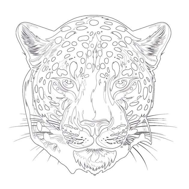 Online Coloring Printable Jaguar Coloring Pages Coloring Pages Mimi