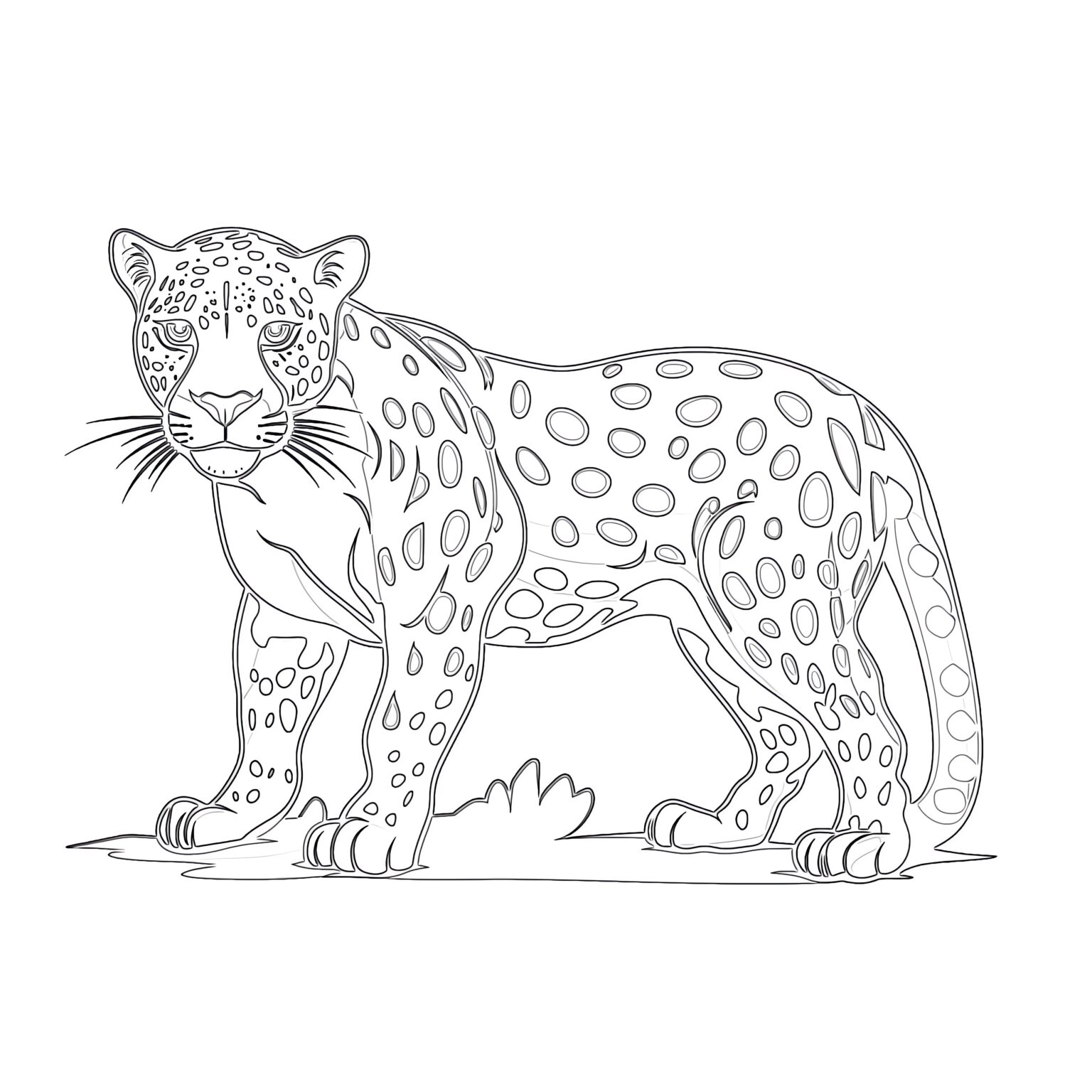 Printable Jaguar Pictures | Coloring Pages Mimi Panda