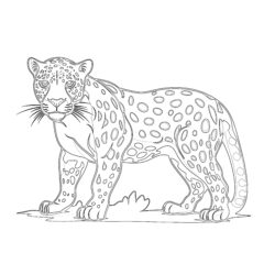Druckbare Jaguar-Bilder Ausmalen Seite - Druckbare Ausmalbilder