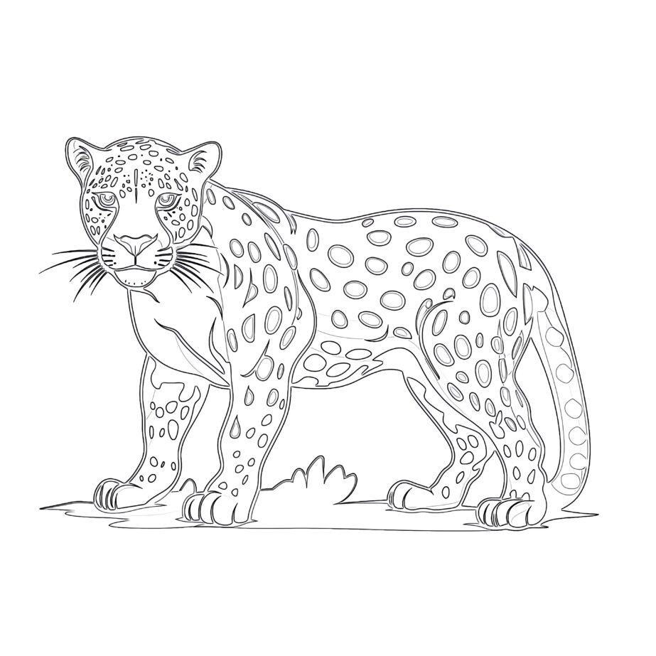 Druckbare Jaguar-Bilder Ausmalen Seite