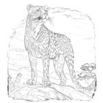 Realistic Cheetah Coloring Pages