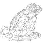 Reptiles Coloring