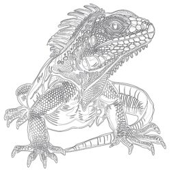 Page de Coloriage Sur Les Reptiles - Page de coloriage imprimable