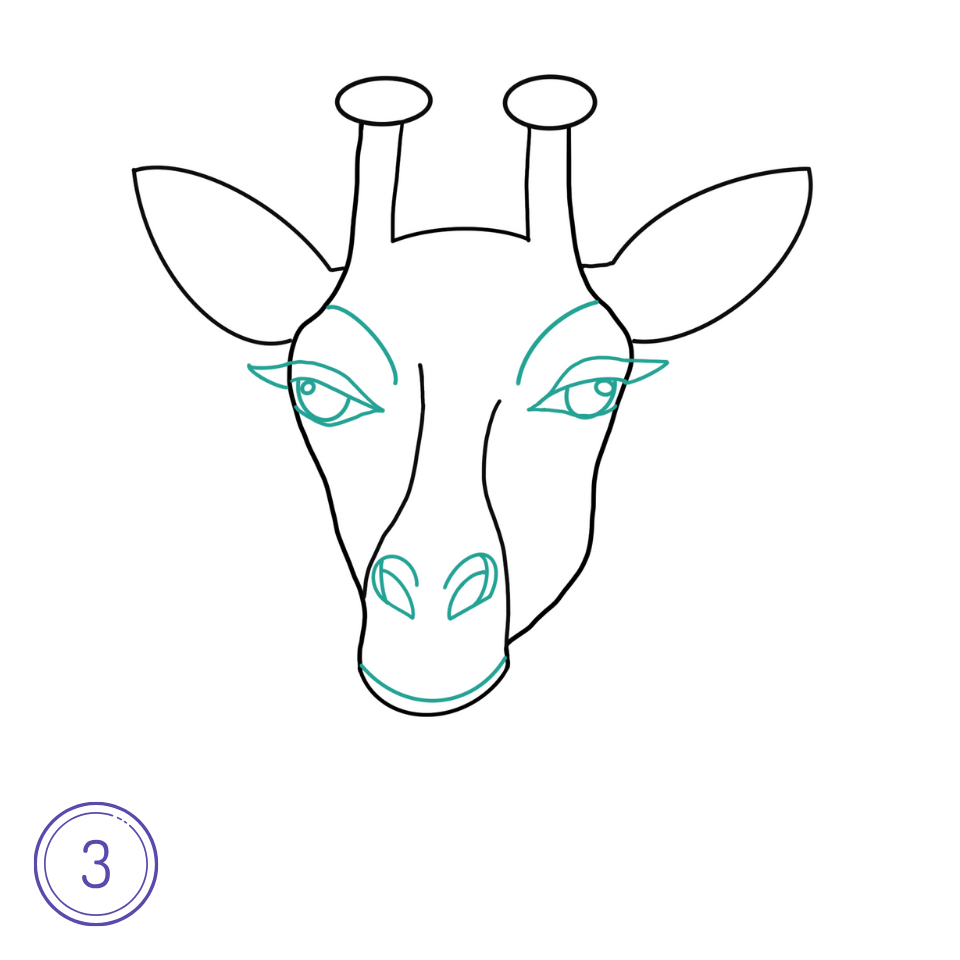 How to Draw a Giraffe Head Step 3