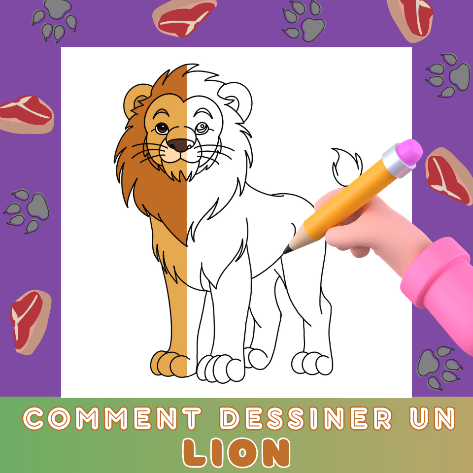 Comment Dessine Lion