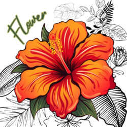 Best Flower Coloring Page - Origin image